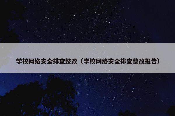学校网络安全排查整改（学校网络安全排查整改报告）