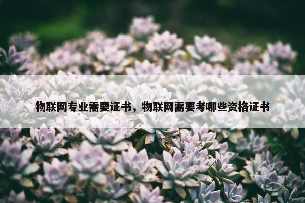 物联网专业需要证书，物联网需要考哪些资格证书