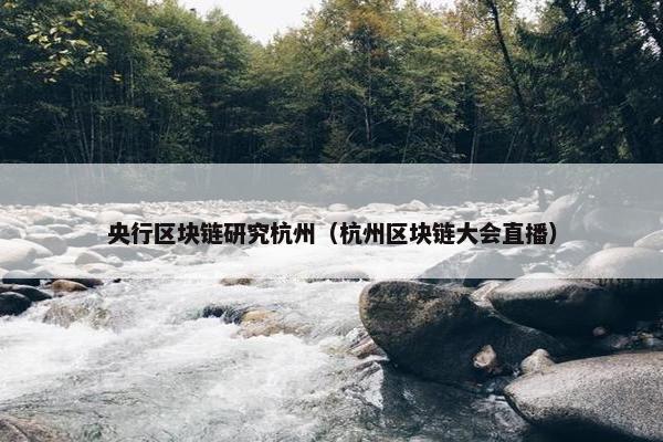 央行区块链研究杭州（杭州区块链大会直播）
