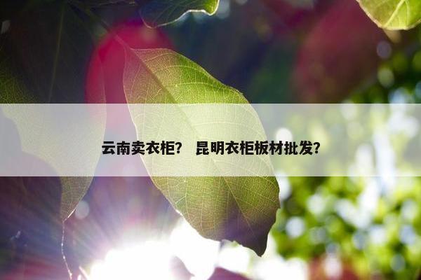 云南卖衣柜？ 昆明衣柜板材批发？