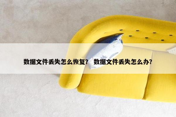 数据文件丢失怎么恢复？ 数据文件丢失怎么办？