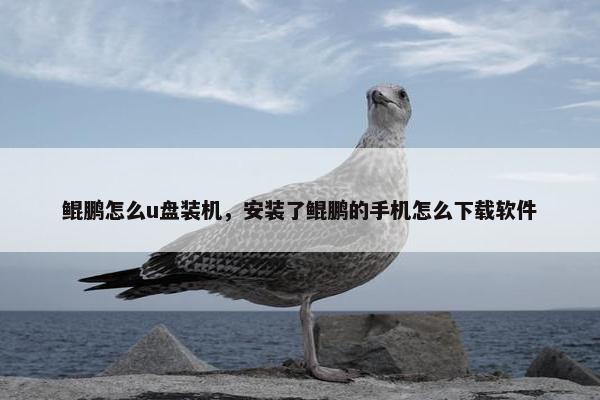 鲲鹏怎么u盘装机，安装了鲲鹏的手机怎么下载软件