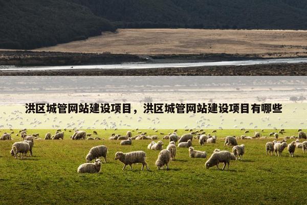 洪区城管网站建设项目，洪区城管网站建设项目有哪些