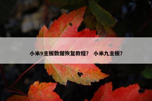 小米9主板数据恢复教程？ 小米九主板？