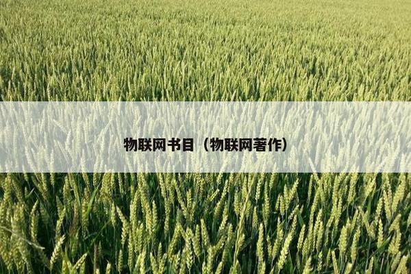 物联网书目（物联网著作）