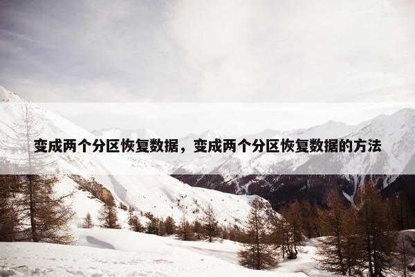 变成两个分区恢复数据，变成两个分区恢复数据的方法