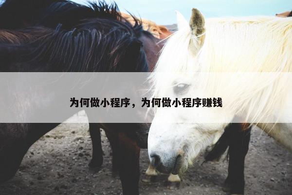 为何做小程序，为何做小程序赚钱