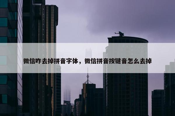 微信咋去掉拼音字体，微信拼音按键音怎么去掉