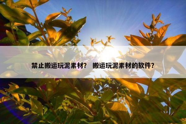 禁止搬运玩泥素材？ 搬运玩泥素材的软件？
