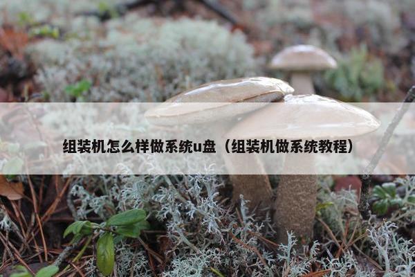 组装机怎么样做系统u盘（组装机做系统教程）
