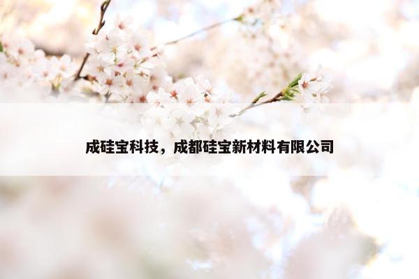 成硅宝科技，成都硅宝新材料有限公司