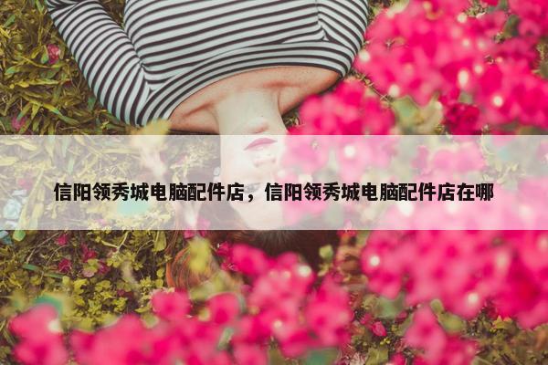 信阳领秀城电脑配件店，信阳领秀城电脑配件店在哪