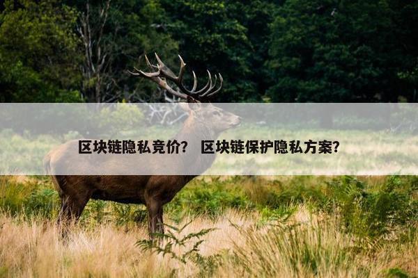 区块链隐私竞价？ 区块链保护隐私方案？