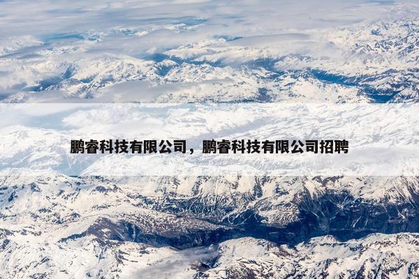 鹏睿科技有限公司，鹏睿科技有限公司招聘