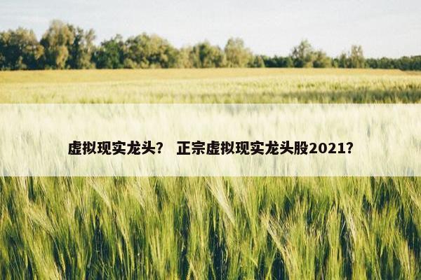 虚拟现实龙头？ 正宗虚拟现实龙头股2021？
