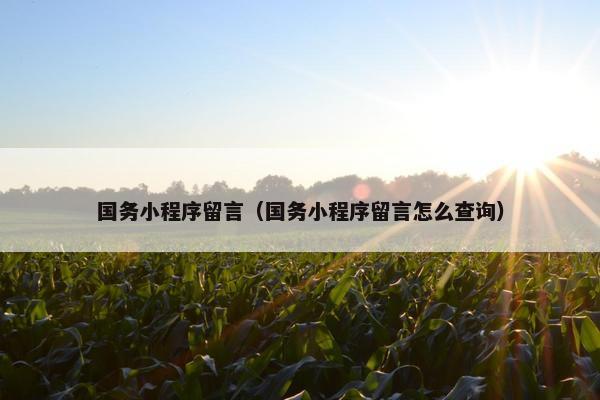 国务小程序留言（国务小程序留言怎么查询）