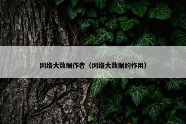 网络大数据作者（网络大数据的作用）