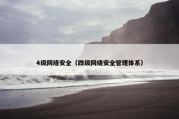 4级网络安全（四级网络安全管理体系）