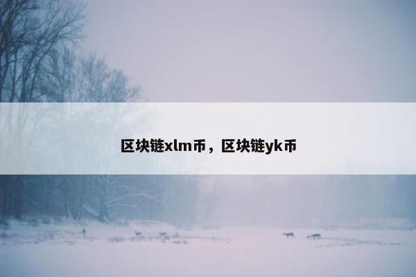 区块链xlm币，区块链yk币