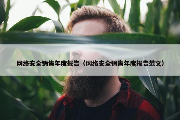 网络安全销售年度报告（网络安全销售年度报告范文）