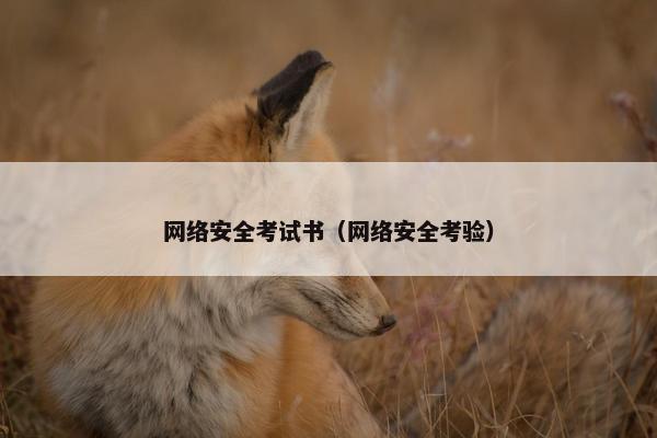 网络安全考试书（网络安全考验）