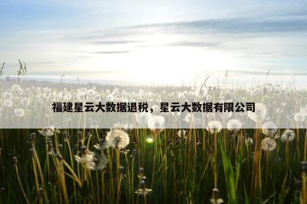 福建星云大数据退税，星云大数据有限公司