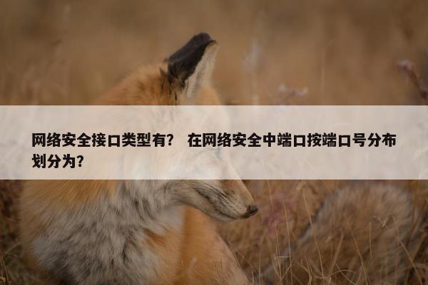 网络安全接口类型有？ 在网络安全中端口按端口号分布划分为？