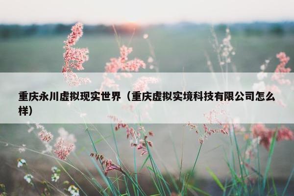 重庆永川虚拟现实世界（重庆虚拟实境科技有限公司怎么样）