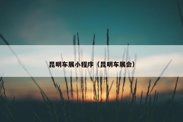 昆明车展小程序（昆明车展会）