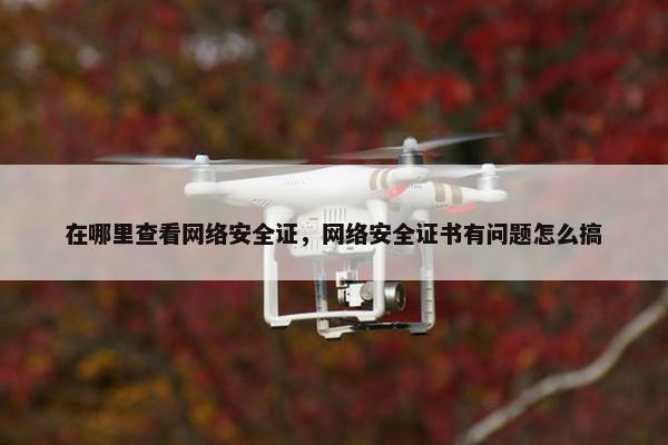 在哪里查看网络安全证，网络安全证书有问题怎么搞