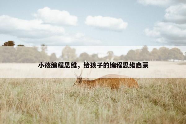 小孩编程思维，给孩子的编程思维启蒙