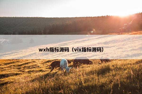 wxh指标源码（vix指标源码）
