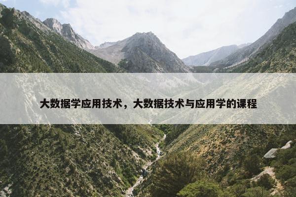 大数据学应用技术，大数据技术与应用学的课程