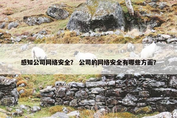 感知公司网络安全？ 公司的网络安全有哪些方面？