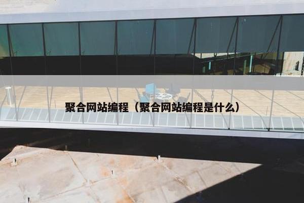 聚合网站编程（聚合网站编程是什么）