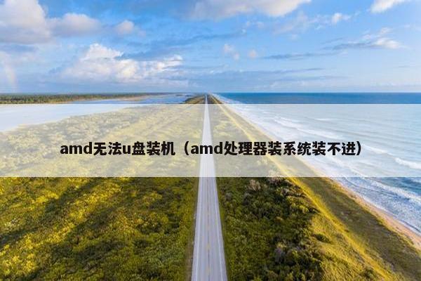 amd无法u盘装机（amd处理器装系统装不进）