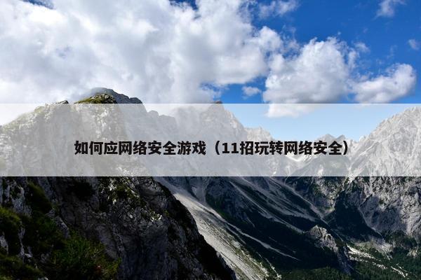 如何应网络安全游戏（11招玩转网络安全）