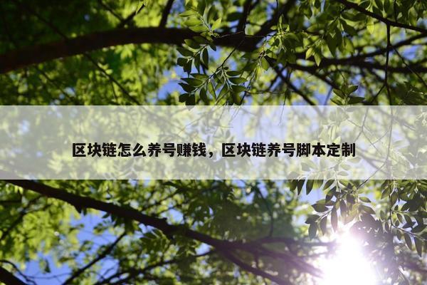 区块链怎么养号赚钱，区块链养号脚本定制