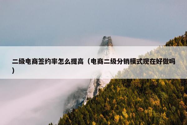 二级电商签约率怎么提高（电商二级分销模式现在好做吗）