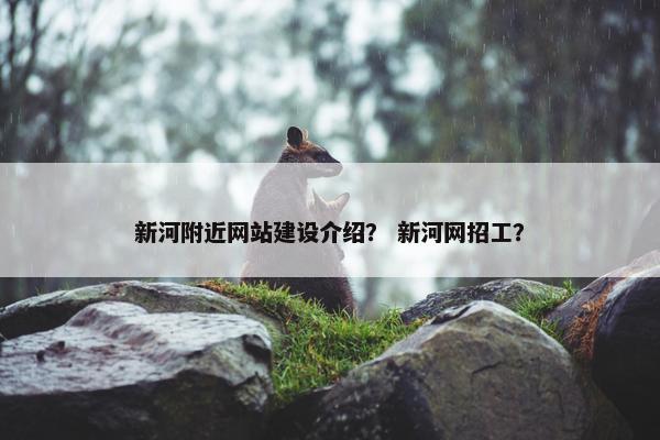 新河附近网站建设介绍？ 新河网招工？