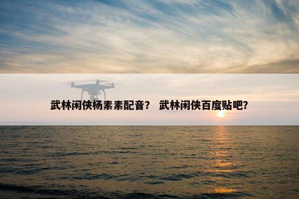 武林闲侠杨素素配音？ 武林闲侠百度贴吧？