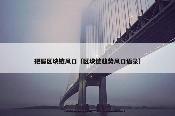 把握区块链风口（区块链趋势风口语录）