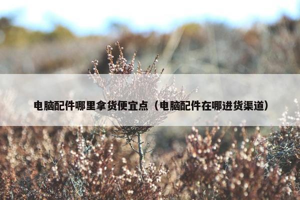 电脑配件哪里拿货便宜点（电脑配件在哪进货渠道）