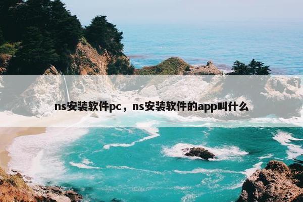 ns安装软件pc，ns安装软件的app叫什么