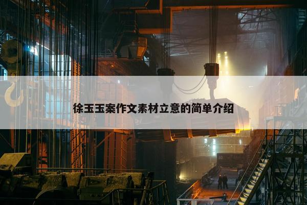 徐玉玉案作文素材立意的简单介绍