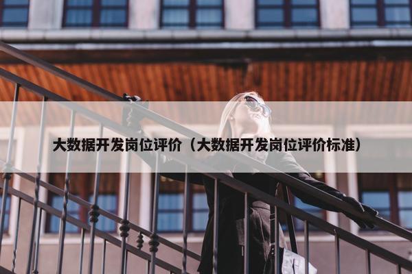 大数据开发岗位评价（大数据开发岗位评价标准）