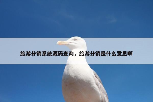 旅游分销系统源码查询，旅游分销是什么意思啊