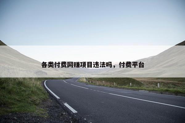 各类付费网赚项目违法吗，付费平台