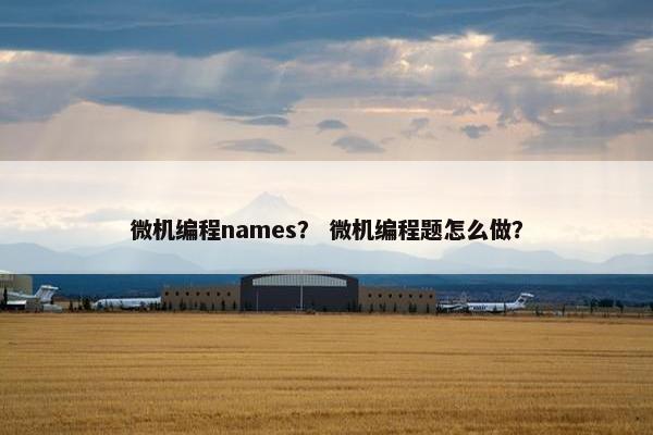 微机编程names？ 微机编程题怎么做？