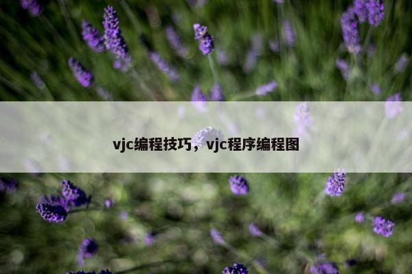 vjc编程技巧，vjc程序编程图